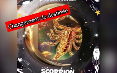 Scorpion : que vous réserve 2022 ?